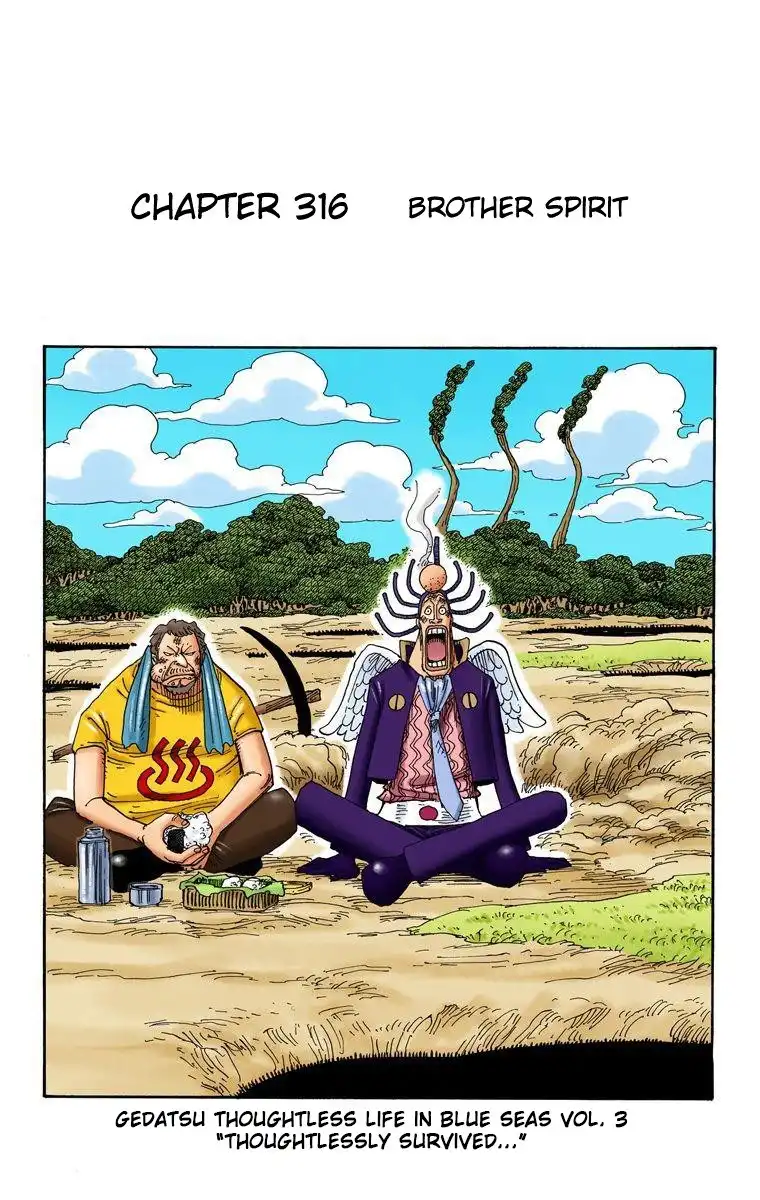 One Piece - Digital Colored Comics Chapter 316 2